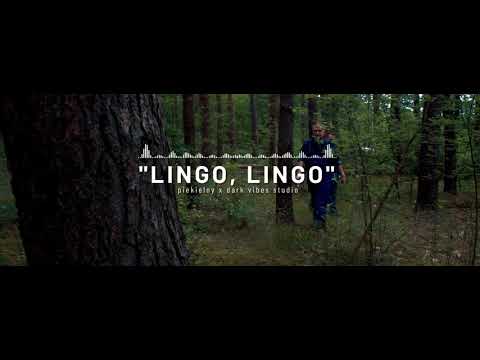Video thumbnail for Lingo, Lingo