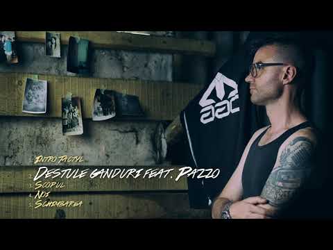 Mogg feat Pazzo- Destule ganduri