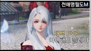 태백 PVP 1대1 논검 천애명월도M