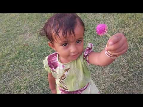 Kaka's Garden, Bela, Roonjah, Engineer, Abdul Qadir, flowers, molana, waiz, Wali, khajoor, date tre,