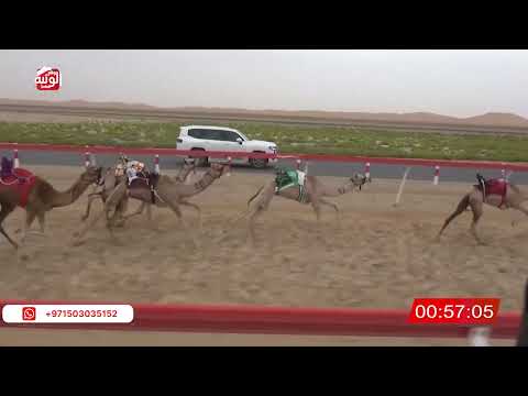  ش 13 (الشاهينيه) لـ عيسى سعيد مسلم بن سبت الخييلي 2:20 , شارة الصندوق 2026/04/11 فطامين رماح
