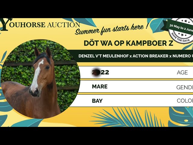 Döt wa op Kampboer Z