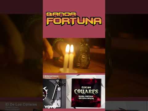 El De Los Collares - Banda Fortuna Y Los Luna DETRÁS DE CÁMARAS Parte 2 #music #shorts #shortvideo