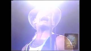 David Lee Roth ~ "I've Just Seen A Face" ( The Beatles ) 1988 Skyscraper Tour HQ!