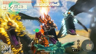 【ゼルダの伝説totkその24】写真でひとこと