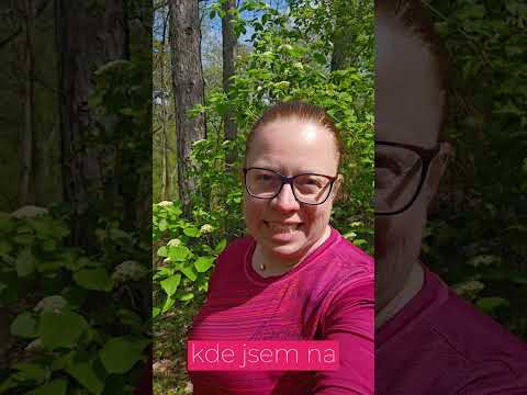 Putuj se mnou přes Moravu v knížce zápisků z mých cest!