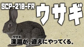 【ゆっくりSCP紹介】SCP-210-FR【ウサギ】