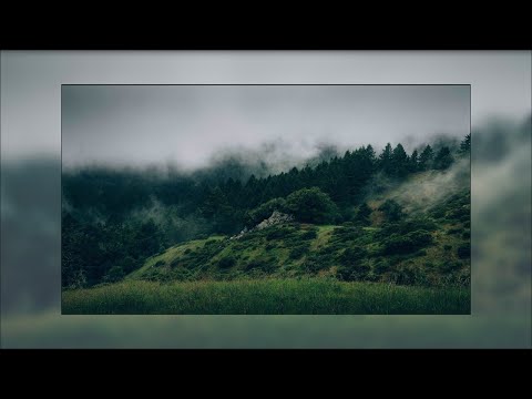 J A Y  E L E C T R O N I C A - @Fatbellybella