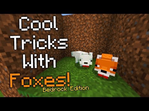 Minecraft Foxes Have Secrets!