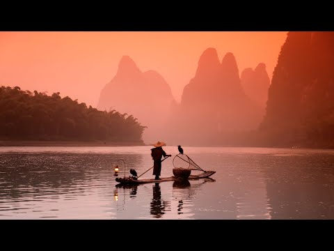 Pêche au cormoran en Chine : comment utiliser un oiseau pour attraper du poisson