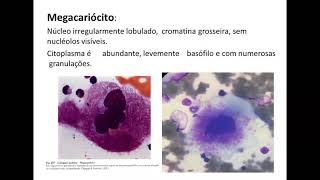 TROMBOCITOPOIESE 1