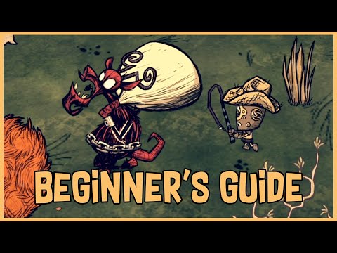 Don’t Starve Together Beginner’s Guide: Automation & Creature Farming