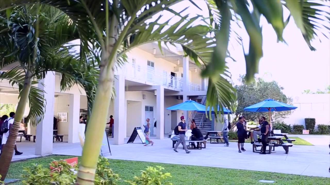 Teacher Career Path HD