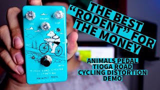 Animal Pedal Tioga Road Cycling Distortion V1 - What To Know