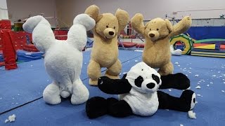 GYMNASTICS IN GIANT TEDDY BEARS!