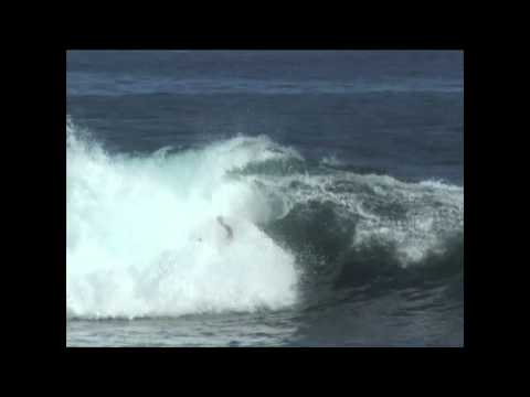 Taylor Steele Retrosections - #1 Andy Irons