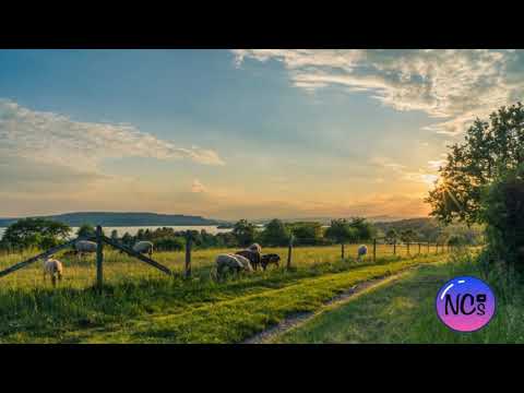 🌅 Sonido de Amanecer en el Campo. Gallo y Pájaros Cantando. Para Relajarse 🎧 - NO COPYRIGHT SONGS