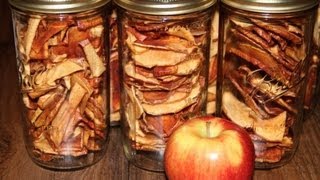 Dehydrated Apple Chips, Better Than Store Bought
