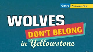 Reading Selection &quot; WOLVES DON&#39;T BELONG in Yellowstone &quot;