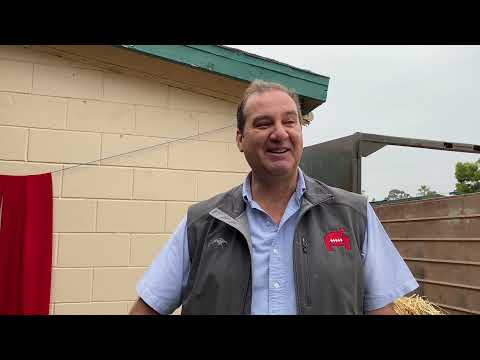 BC Distaff: Meet (turf writer turned) Letruska trainer Fausto Gutierrez