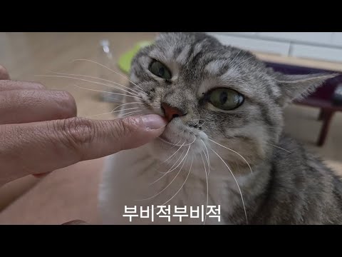 주말에도 껌딱지