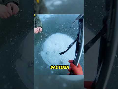 Burning Methane on Frozen Lakes