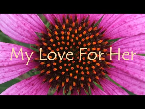 My Love For Her by Steve Petrinko