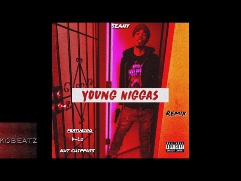 Seany ft. D-Lo, Chippass - Young N****s [New 2016]