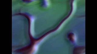 West Side Story Track 18 End Credits