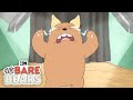 Pet Adoption Commercial I We Bare Bears I Cartoon ...