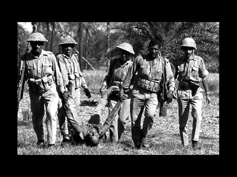 Flashback 1971 (Two MinuteLook )