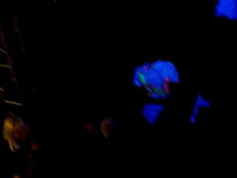 Psycoticum 31.5.2009 Mainfloor