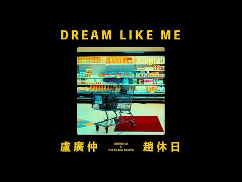 Crowd Lu (盧廣仲) & 검정치마 - DREAM LIKE ME