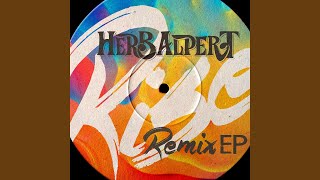 Rise (Marquis Hawkes Mix)