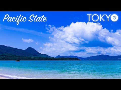808 State - Pacific State [Hyper Dance cover by TOKYO]