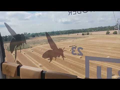 Mannheim - BUGA 23, Seilbahn-Strecke: Spinelli-Park - Luisenpark am 27.6.2023