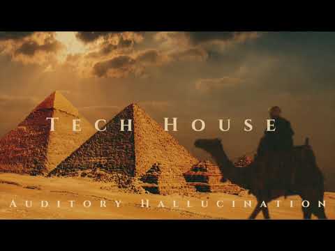 Imhotep - Auditory Hallucination (Original Mix) Tech House 2018