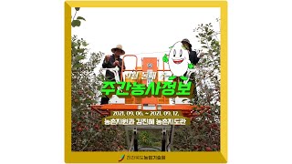 주간농사정보 9월 둘째주