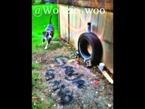 Woozie Woo- Evil