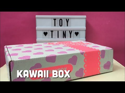 Kawaii Box - January 2018 | Toy Tiny Video