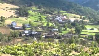 humoso--trapalladas.