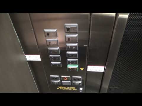 Reception Bypass! | Express (mod. Schindler) @ Quest on Lambton, Lambton Quay/The Terrace, WGTN CBD