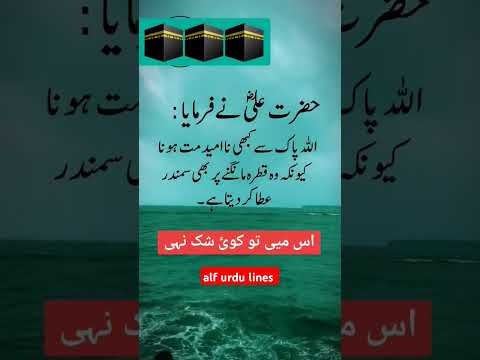 Hazrat Ali Quotes | Hazrat Ali AS Ne Irshad Farmaya | Farman e Mola Ali AS