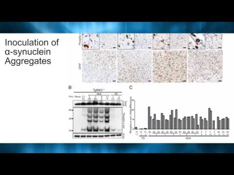 PNAS 2015 Cozzarelli Prize Video for Class IV: Biomedical Sciences