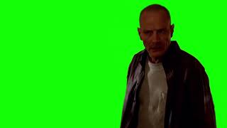 Walter White "what is wrong with you? why are you blue?" green screen