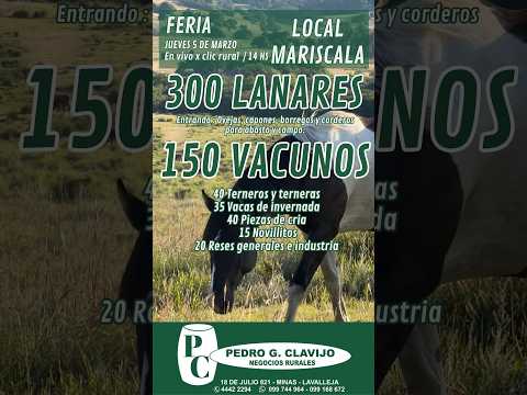 5/3/2026 Feria Mensual - Local Mariscala - Lavalleja - Pedro G. Clavijo I Clic rural