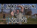 NEMA STAJANJA! Trening LEDJA u parku