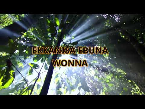 18 Beera nange, obudde buzibye