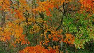 Frank Duval - Face the wind