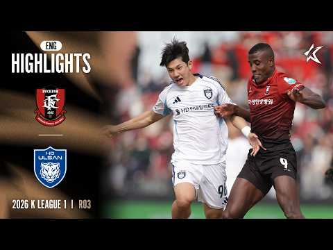 bg-highlight